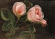 I. L. Jensen school; A small oil painting, roses