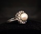 Flemming Lund; Danish design ring made of 14k white gold set with a pearl and 
diamonds