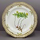 Royal Copenhagen, Flora Danica; Middagstallerken #3553